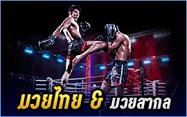 มวยไทย & มวยสากล
